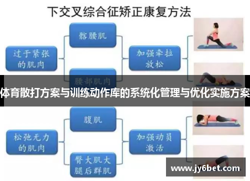 体育散打方案与训练动作库的系统化管理与优化实施方案